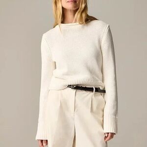 J. Crew Cotton Rollneck Sweater